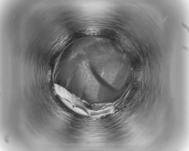 X0000093730652200710301045