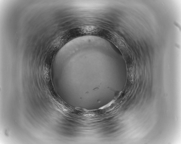 X0000093730653200710301045