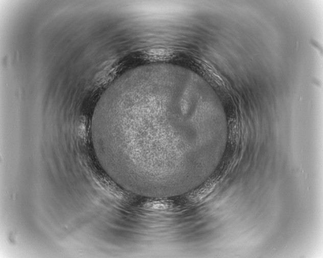 X0000093730655200710301045