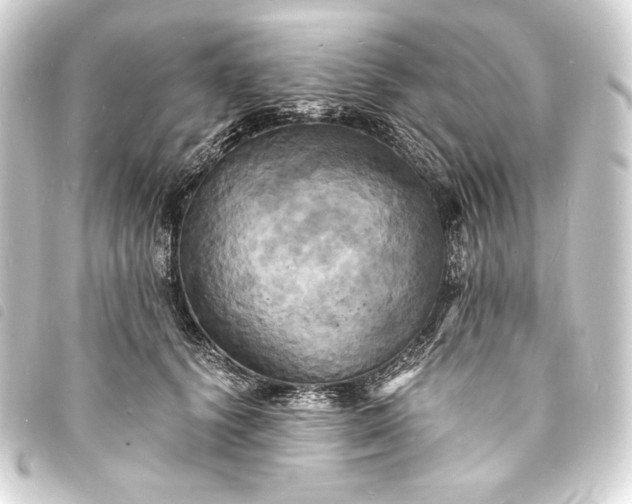 X0000093730656200710301045