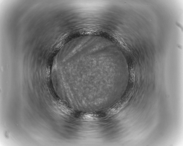 X0000093730657200710301045