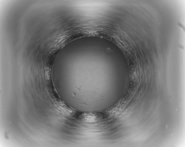 X0000093730658200710301045