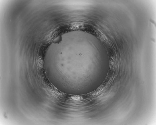 X0000093730659200710301045