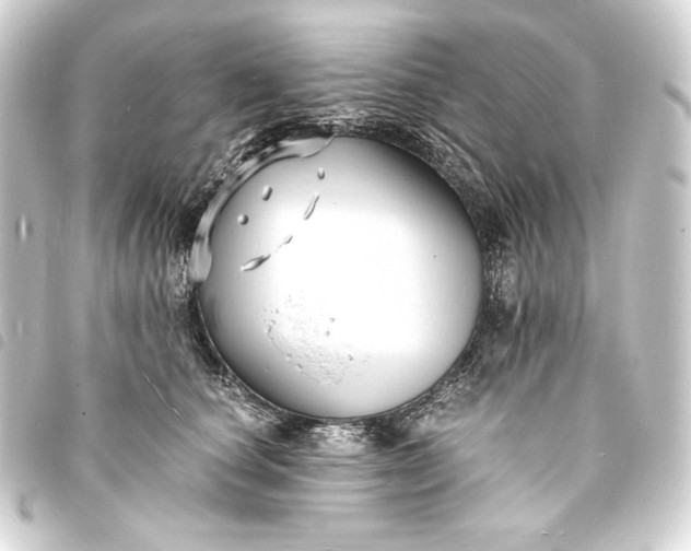 X0000093730660200710301045