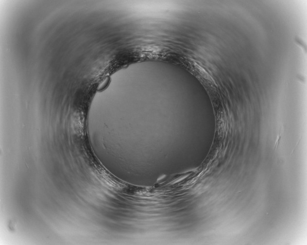 X0000093730661200710301045