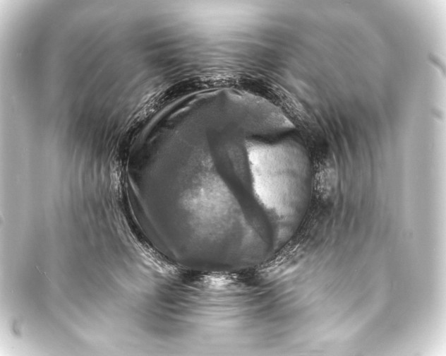 X0000093730662200710301045