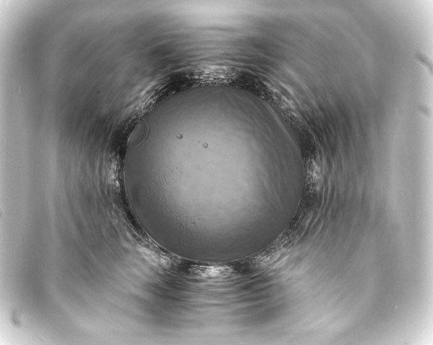 X0000093730663200710301045