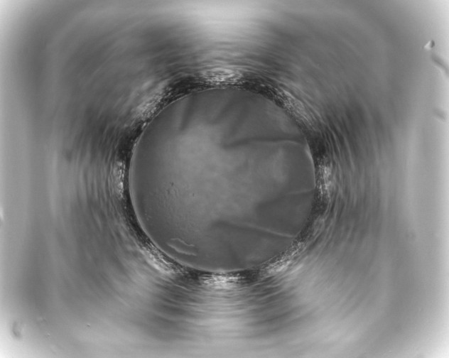 X0000093730664200710301045