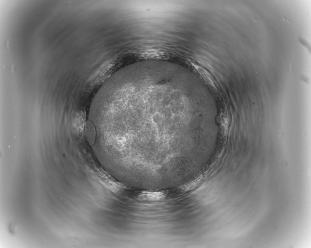 X0000093730665200710301045