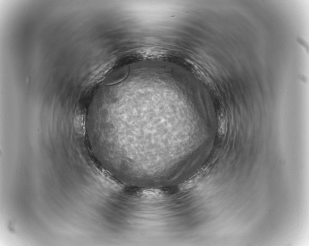 X0000093730666200710301045