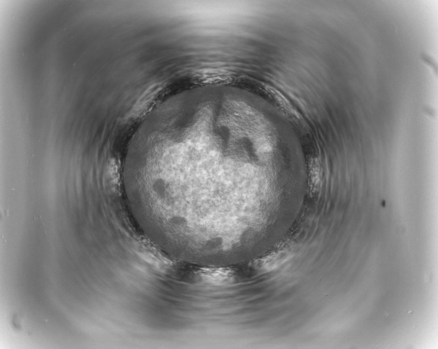 X0000093730667200710301045