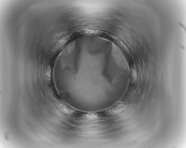 X0000093730668200710301045