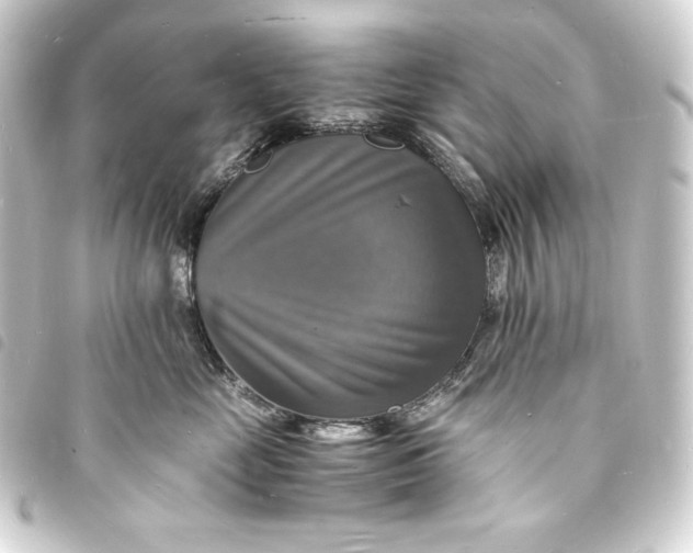 X0000093730669200710301045