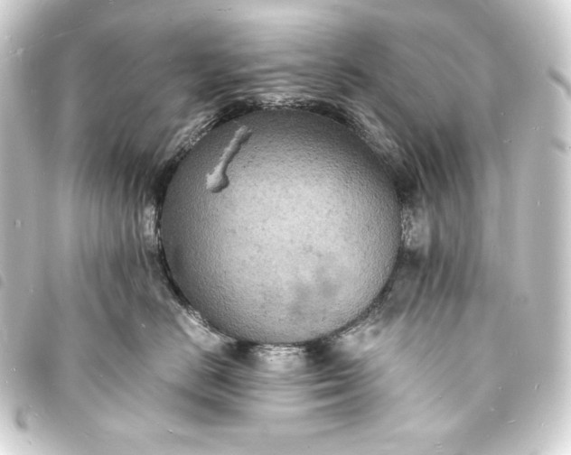 X0000093730670200710301045