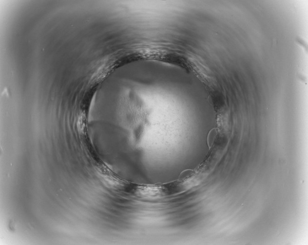 X0000093730671200710301045