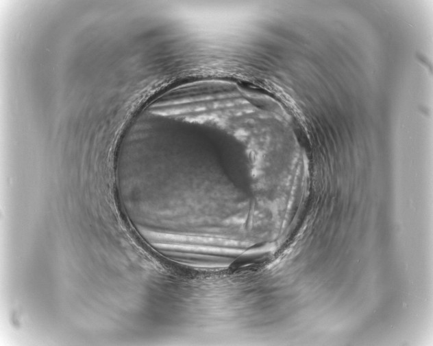 X0000093730673200710301044