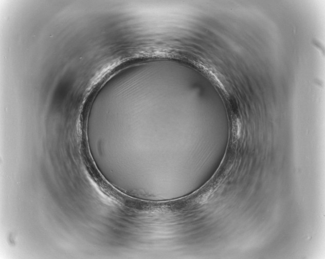 X0000093730674200710301044