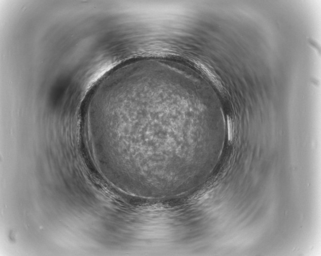 X0000093730675200710301044