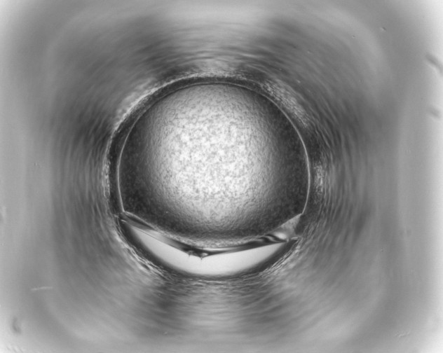 X0000093730676200710301044