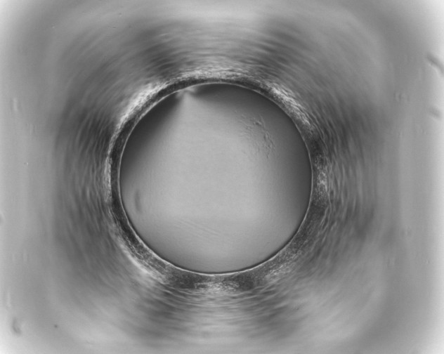 X0000093730678200710301044