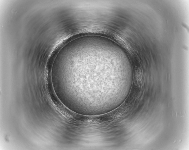 X0000093730680200710301044