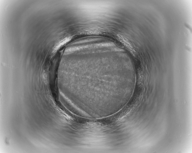 X0000093730681200710301044