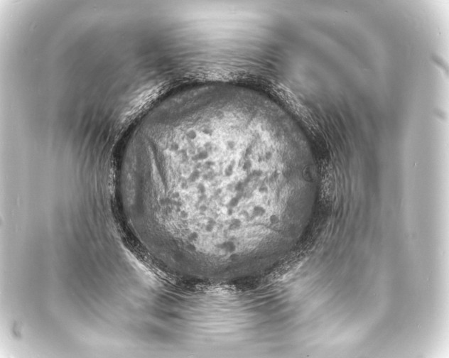 X0000093730683200710301044