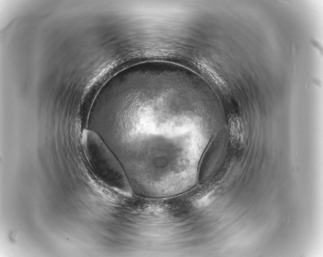 X0000093730684200710301044