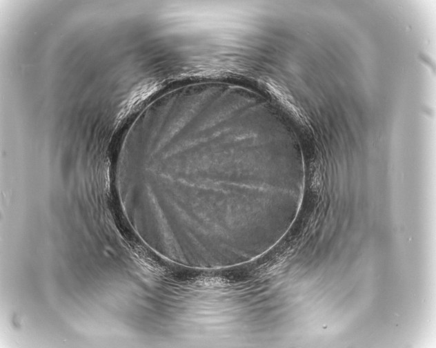 X0000093730685200710301044