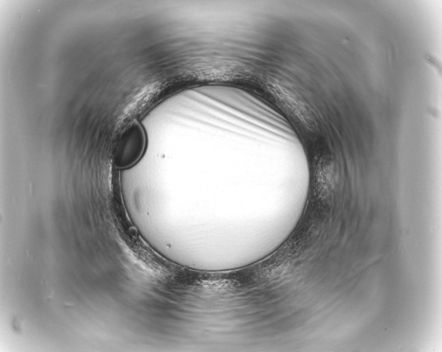 X0000093730686200710301044