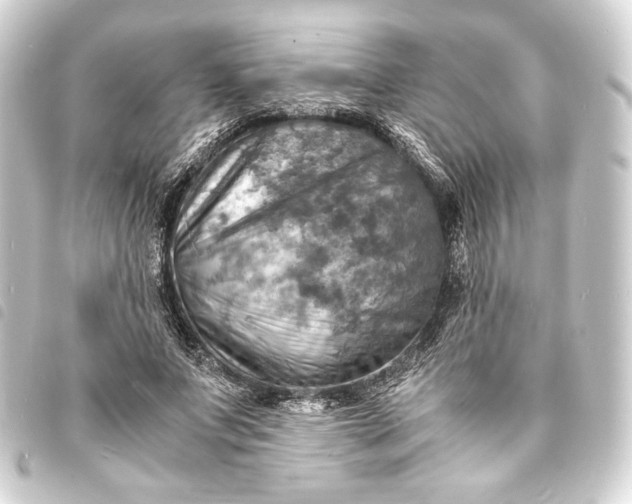 X0000093730687200710301044