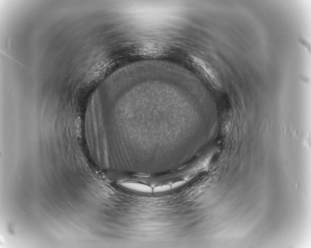 X0000093730689200710301044