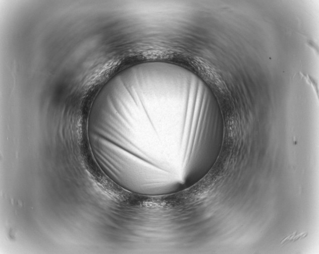 X0000093730690200710301044