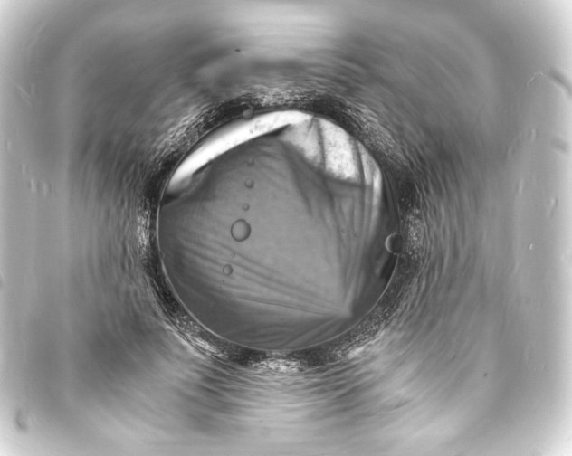 X0000093730691200710301044