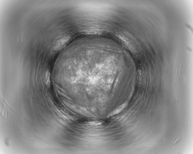 X0000093730692200710301044