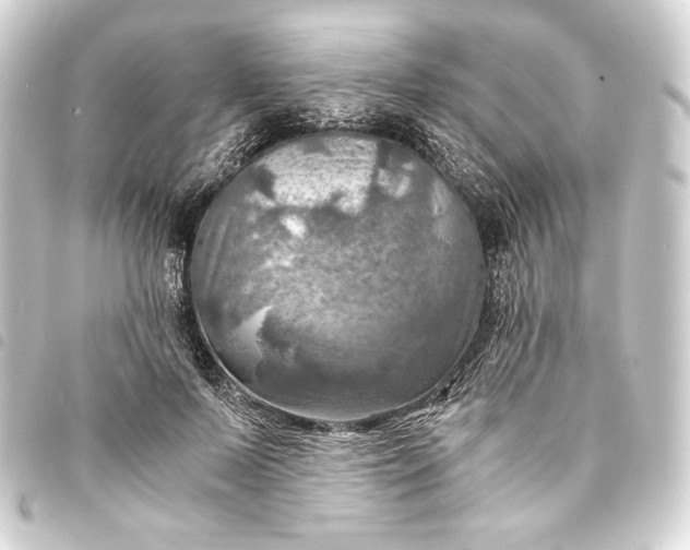 X0000093730695200710301044