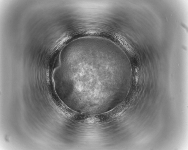 X0000093730696200710301044