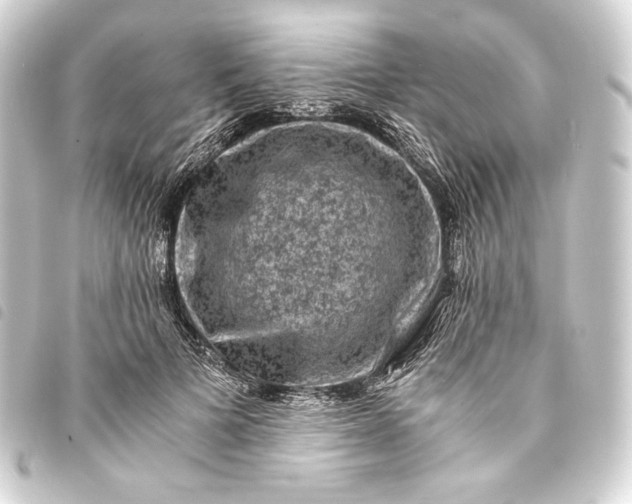 X0000093730697200710301044