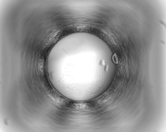 X0000093730698200710301044