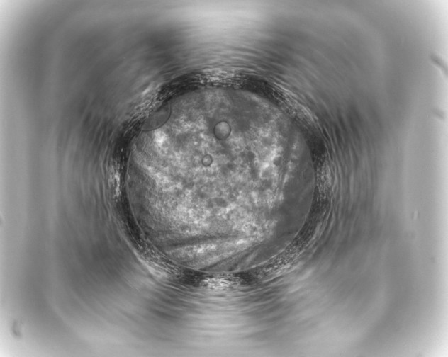 X0000093730703200710301044