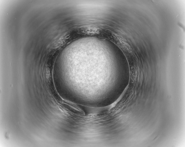 X0000093730704200710301044