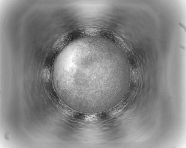 X0000093730705200710301044