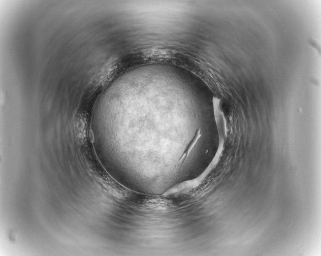 X0000093730708200710301044