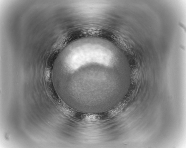 X0000093730709200710301044