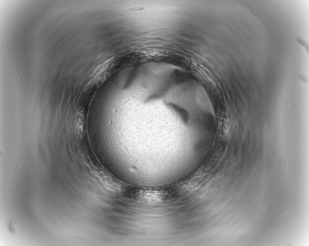 X0000093730710200710301044