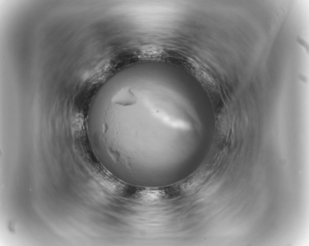 X0000093730711200710301044