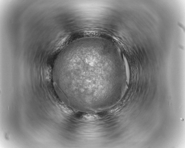 X0000093730712200710301044