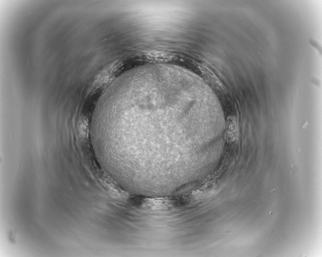 X0000093730713200710301044