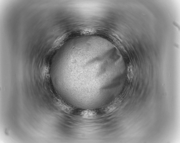 X0000093730714200710301044