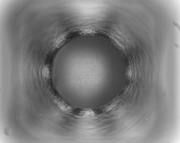 X0000093730715200710301044